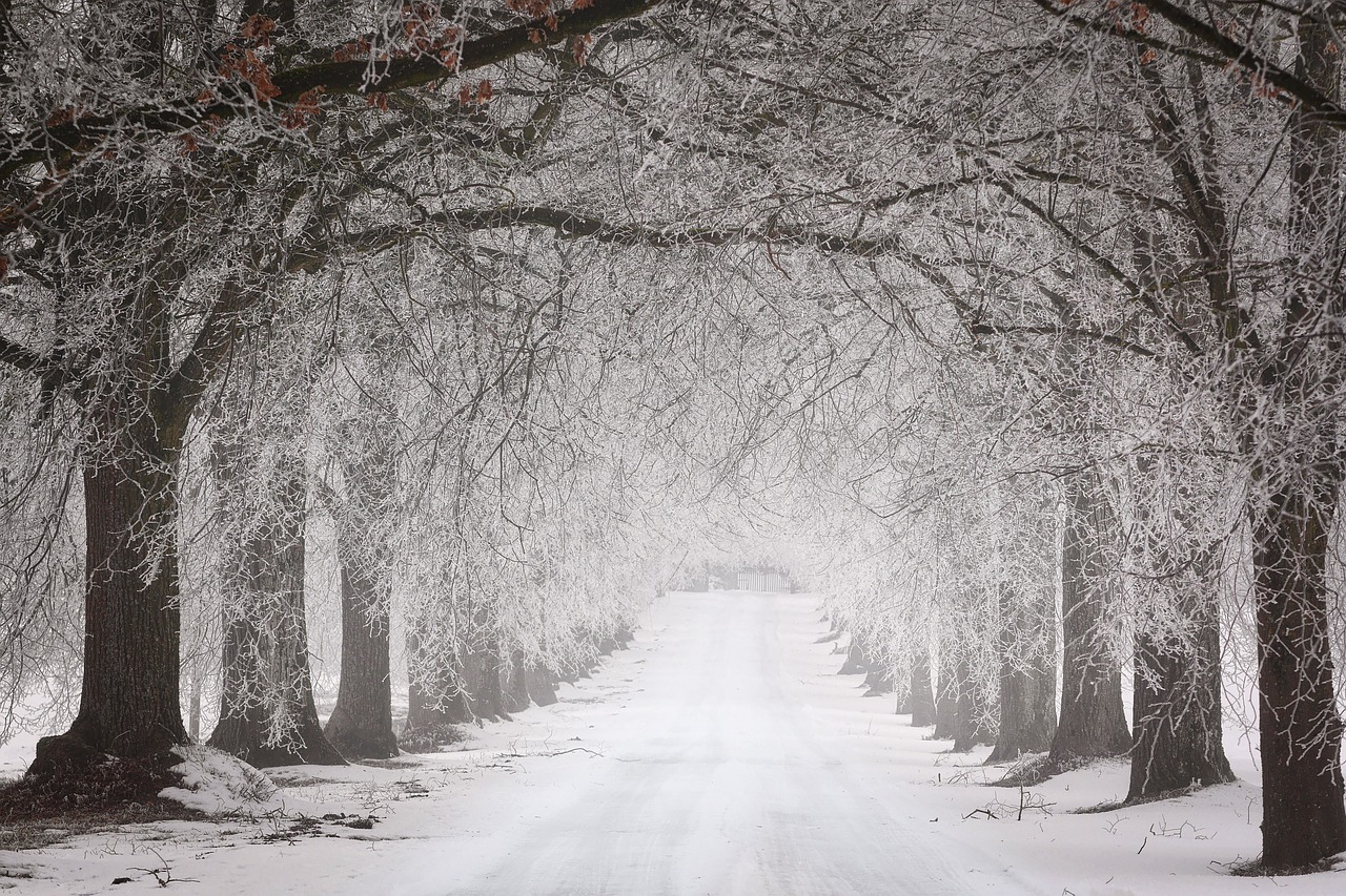Droga zimą - zdjęcie poglądowe