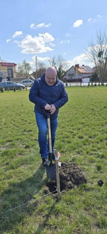 Sadzenie drzew na rekreacyjnych błoniach osiedlowych